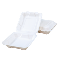 Sugarcane Take-Out Container - Bagasse, 8" x 8" x 2.5", 1-Comp | 200 pcs, 9Lx6